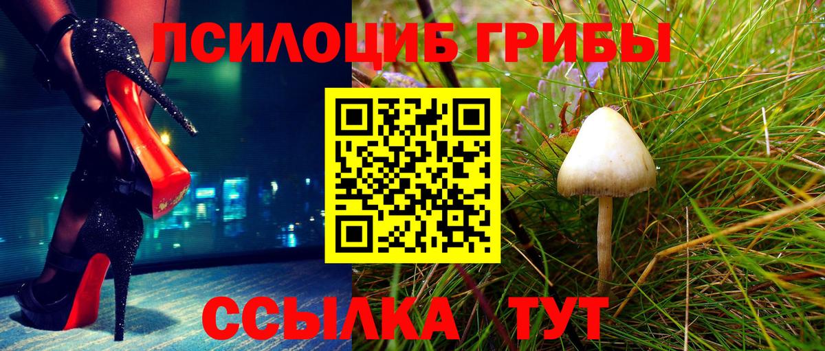Биробиджан  Псилоцибиновые грибы прущие грибы  даркнет сайт  Псилоцибиновые грибы мицелий  Вход с VPN 