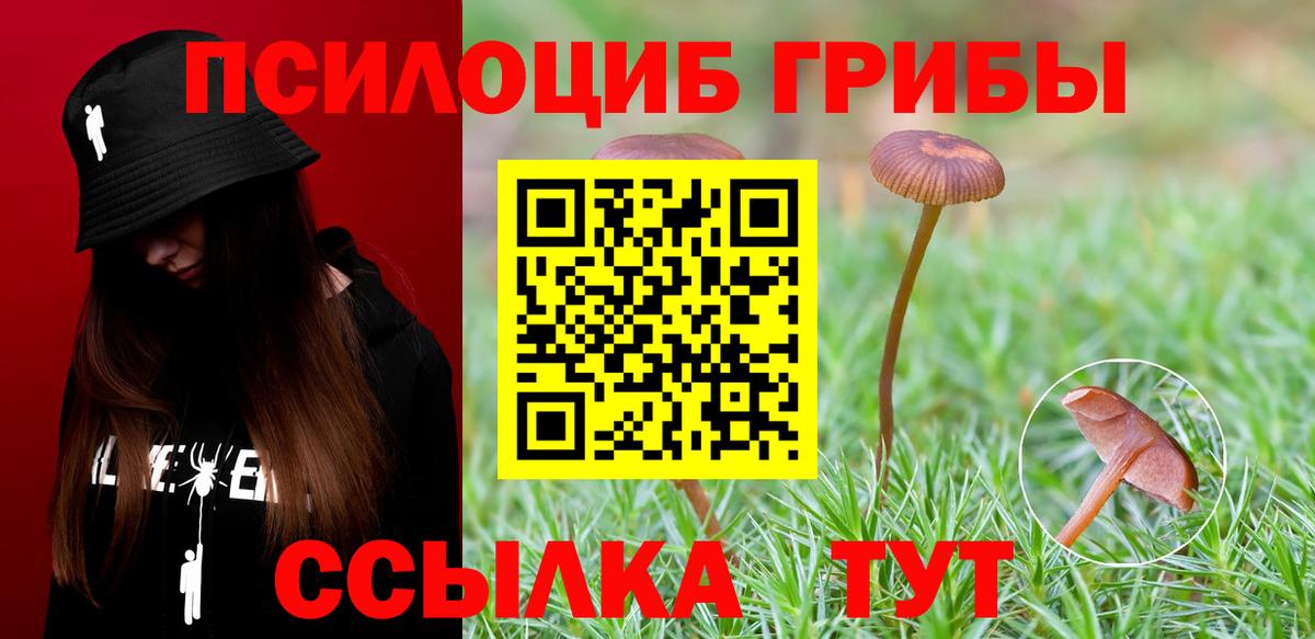 Псилоцибиновые грибы MAGIC MUSHROOMS Биробиджан